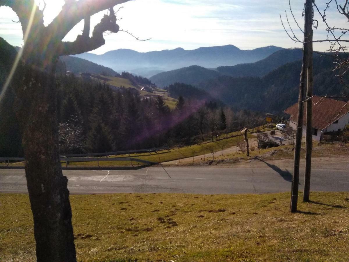 Apartment Jorsi With Mountain View Zrece Exterior photo